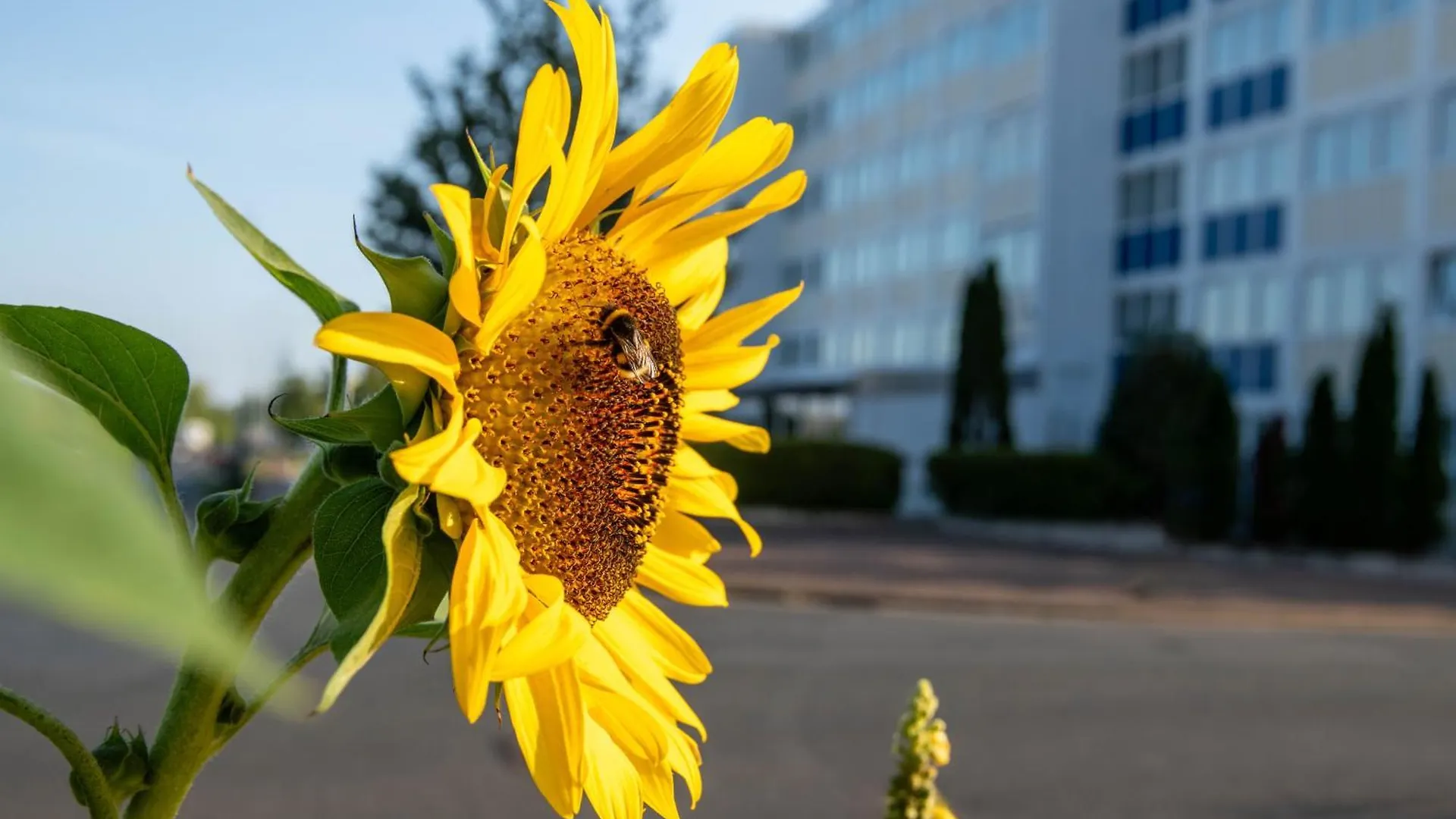 Ξενοδοχείο Beevillage Messehotel Hannover Laatzen