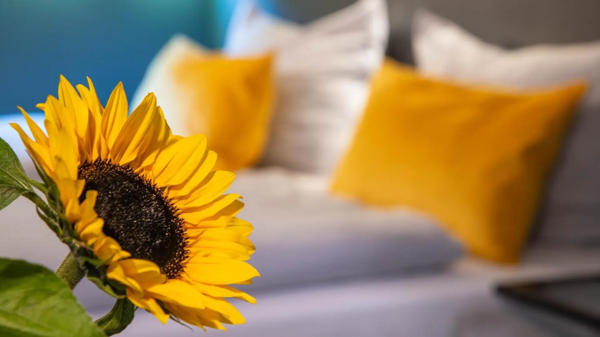 Beevillage Messehotel Hannover Laatzen Germany
